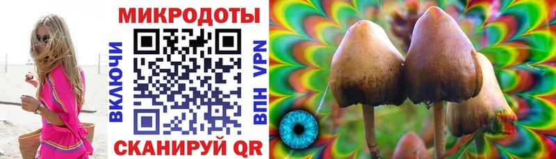 Галлюциногенные грибы Cubensis  мориарти формула  Среднеуральск  что такое  